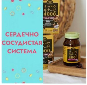 🔹СЕРДЕЧНО-СОСУДИСТАЯ СИСТЕМА