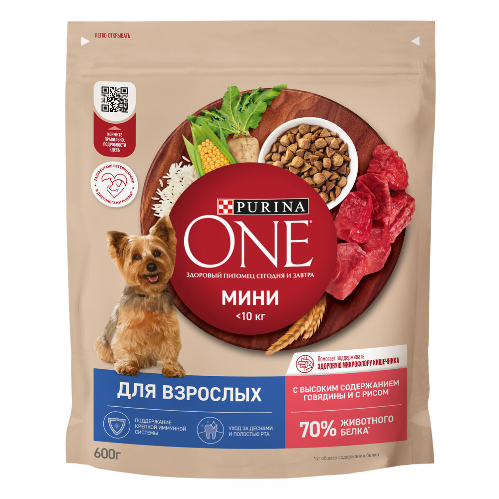 Сухой корм Purina ONE МИНИ <10 кг для взрослых собак мелких и карликовых пород говядина рис 600 г