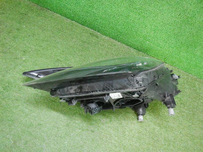 DSCN6829.JPG