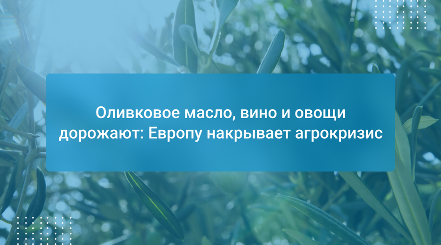 Оливковое масло, вино и овощи дорожают: Европу накрывает агрокризис