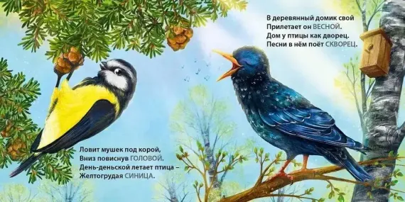 Книжки - картонки. Загадки - рифмы. Такие разные птицы