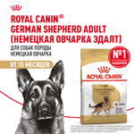 Royal Canin German Shepherd Adult Немецкая овчарка Эдалт Корм сухой для взрослых собак породы Немецкая овчарка 11кг