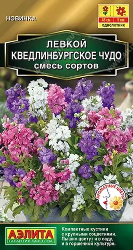 Левкой Кведлинбургское чудо смесь однолетник 0,1г (Аэлита)
