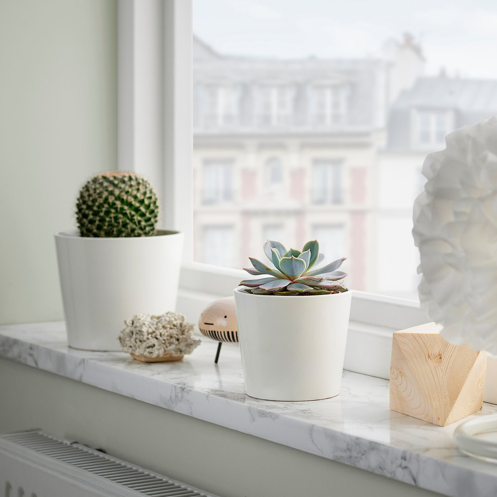 IKEA SUCCULENT  (ИКЕА СУССУЛЕНТ)  -  Растение в горшке - разные/Суккулент 9 см