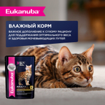 КОРМ СУХОЙ ПОЛНОРАЦИОННЫЙ EUKANUBA® ДЛЯ ВЗРОСЛЫХ КОШЕК И КОШЕК ЖИВУЩИХ В ПОМЕЩЕНИИ СТАРШЕ 1 ГОДА КОНТРОЛЬ ШАРИКОВ (ЭДАЛТ 1+ ЛЕТ ХЭЙРБОЛ КОНТРОЛЬ) 2кг