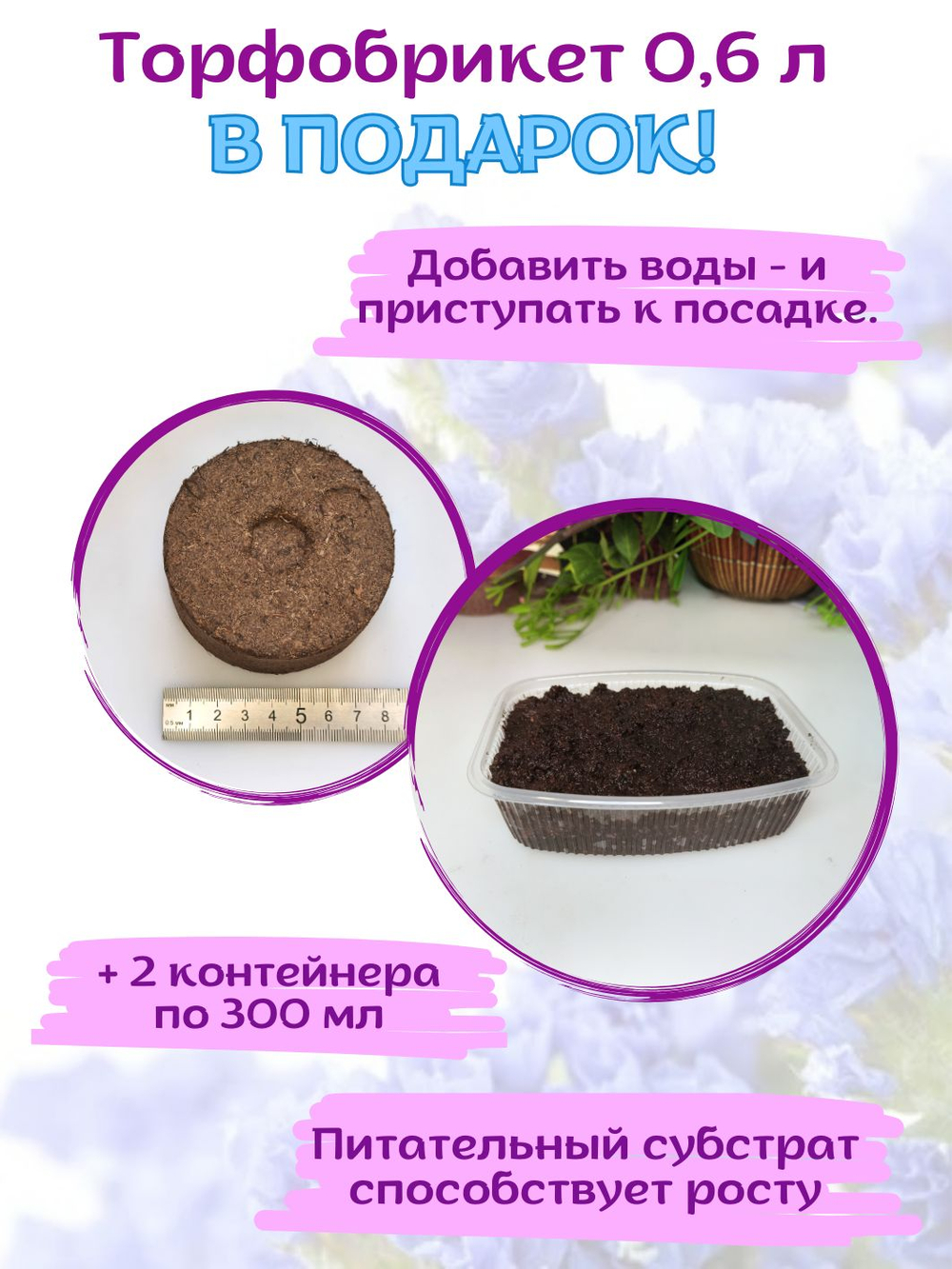 Статица Белая и Розовая, Лимониум, набор семян + торфяной грунт в подарок, 20 шт