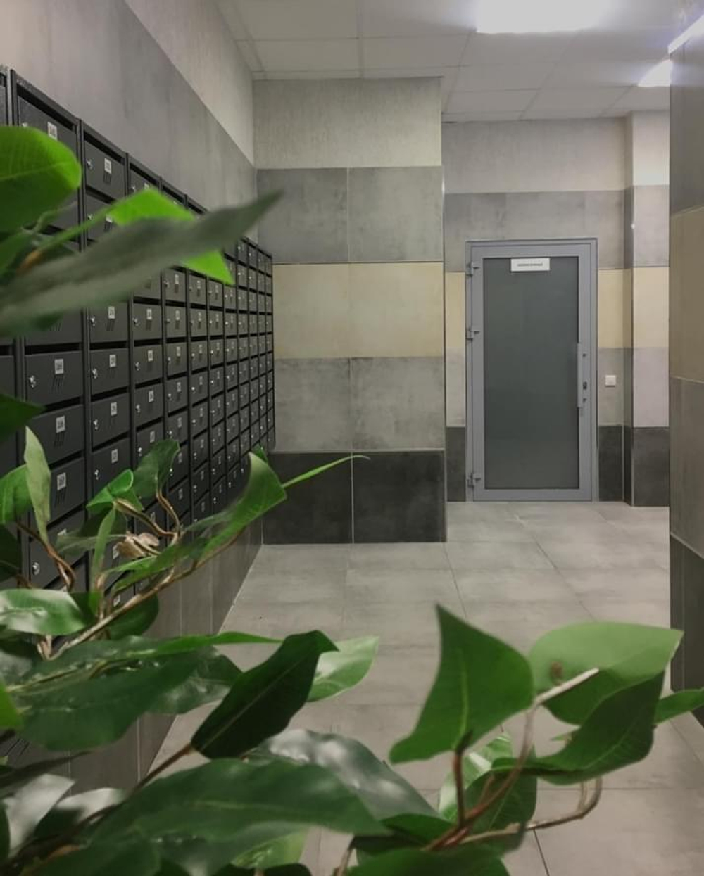 Grasaro Beton Антрацит Sugar 60x120