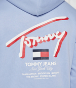 Худи 3D STREET Tommy Jeans - голубой(DM0DM18647)