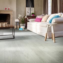 Latin Pine 24142