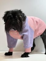 Толстовка для собак с капюшоном, 32 см. (одежда для собак мелких, средних и крупных пород)