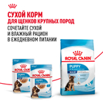 Royal Canin Maxi Puppy Макси Паппи Влажный корм для щенков крупных пород в возрасте до 15 месяцев 100г