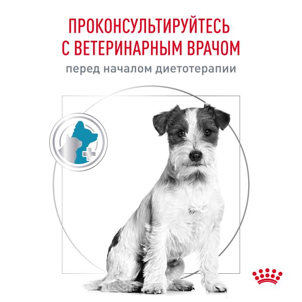 Сухой корм Royal Canin Hypoallergenic Small Dog для взрослых собак мелких пород при пищевой аллергии