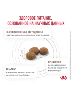 Gastrointestinal Hairball Корм для кошек 2кг