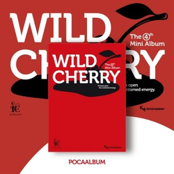 Альбом ICHILLIN' - WILD CHERRY 4th Mini Album POCA ALBUM Version