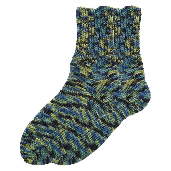 Пряжа Astra Premium (Астра Премиум) Карелия носочная (Karelia sock) / уп.2 мот. по 100 г, 400 м, 1004