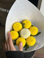 Кулек из хрзантемы пинг понг