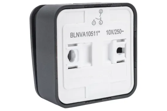 Выключатель Systeme Electric BLANCA 2-клавишный с индикатором накладной антрацит 30865
