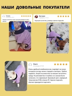 Комбинезон для собак