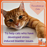 Feliway Cystease Феливей Цистиз