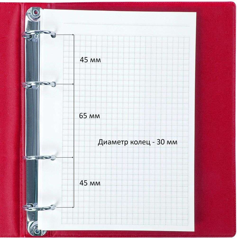 Тетрадь на кольцах А5 (180х220 мм), 80 л., обложка ПВХ, клетка, BRAUBERG, красный, 403911