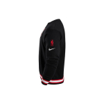 Толстовка Nike NBA TEAM 31 Logo, FD6549-010