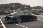 Карбоновый обвес для AMG GT X290 GT50/53 в стиле FORZA PERFORMANCE Мерседес Бенц