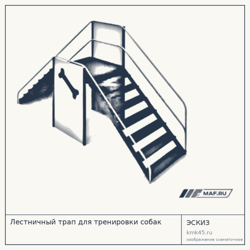 Лестничный трап для тренировки собак