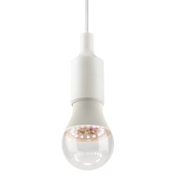 Фитолампа для растений светодиодная ЭРА GREEN LINE ФИТО А60-15W-PFR-E27-GR полного спектра 15 Вт Е27 | Фитолампы Е27