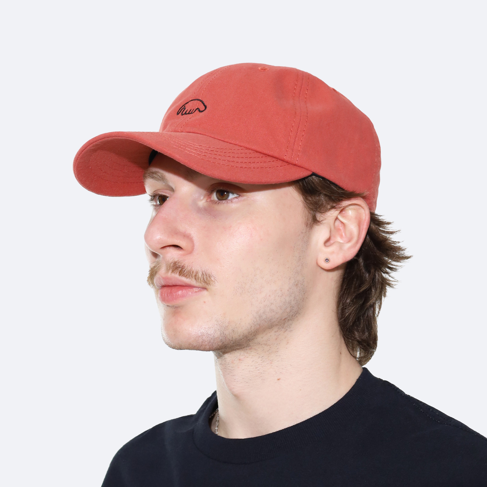 Кепка Anteater 6Panel (coral) артикул: - купить в магазине Дайс
