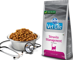 Сухой корм FARMINA Vet Life Management Struvite для взрослых кошек при лечении и профилактики МКБ - 0,4 кг