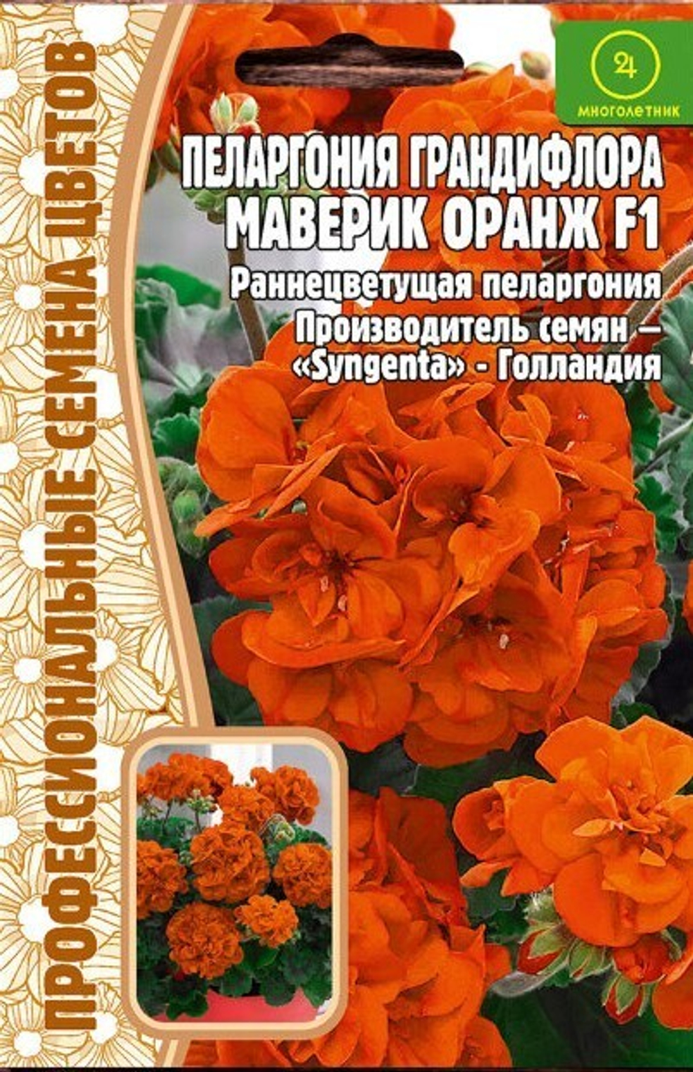 Пеларгония грандифлора Маверик оранж