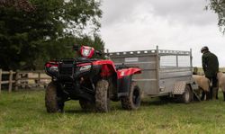 Квадроцикл HONDA TRX520