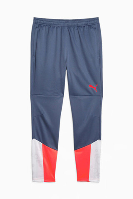 Штаны Puma individualCUP Training