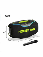 Колонка HOPESTAR A80, 350 Вт, с микрофоном, серая