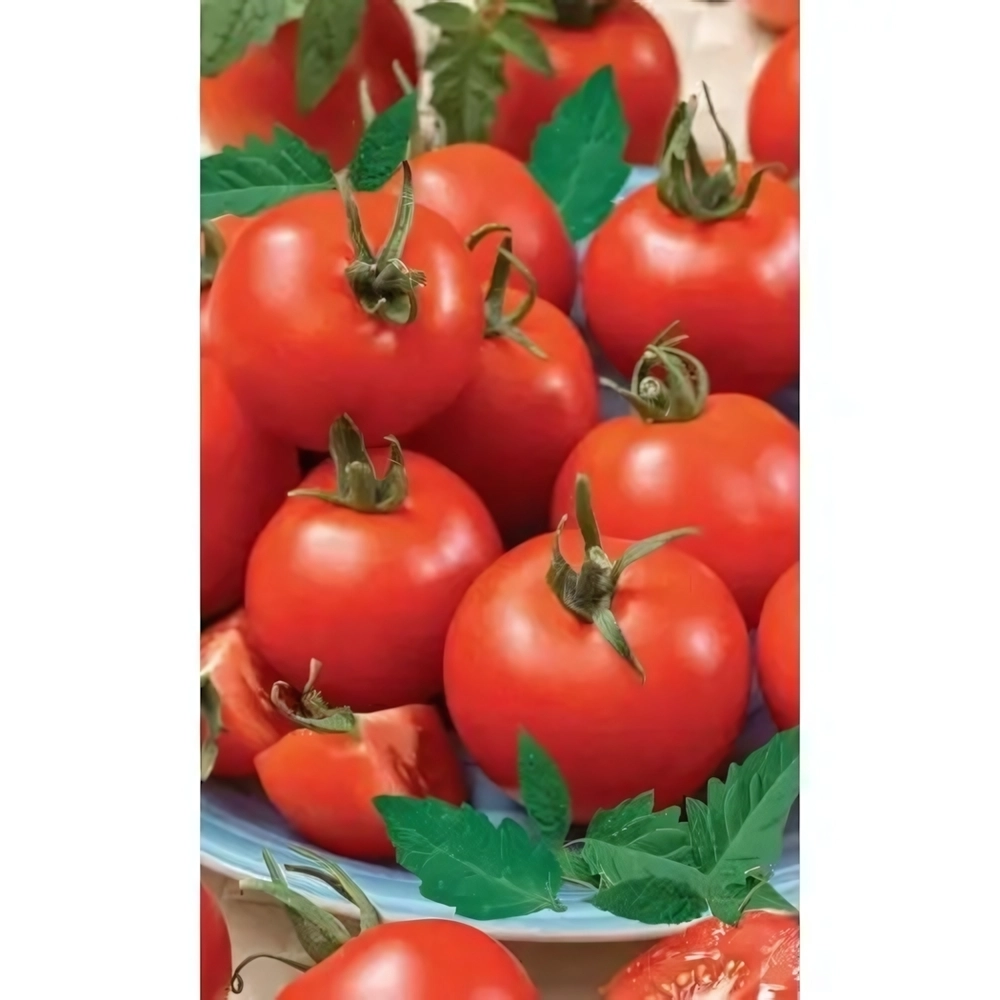 Семена Томат Чародей (УД) Е/П