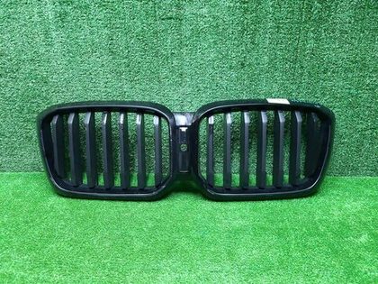 Решетка радиатора BMW X3 G01 (2021-2024)