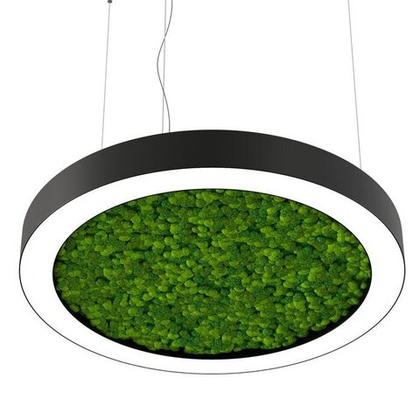 Светодиодный  обьемный светильник  Altavolta -  Round Ring Green со мxом.