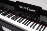 Pierre Cesar DP-12-PH