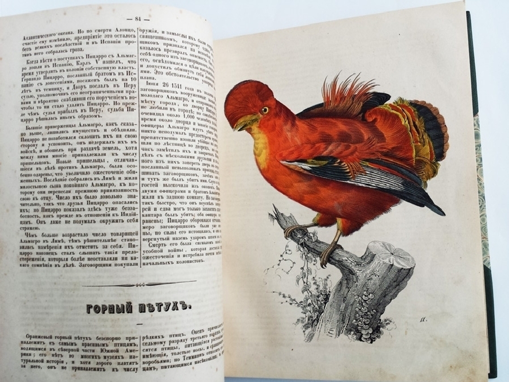 "Любителям чтения. Рассказы и описания по части географии, истории, физике и естественной истории, взятые из сочинений лучших писателей"   1849 г. - редкая книга