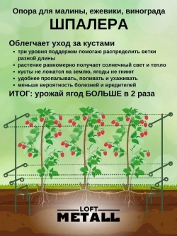 Шпалера садовая для малины и ежевики