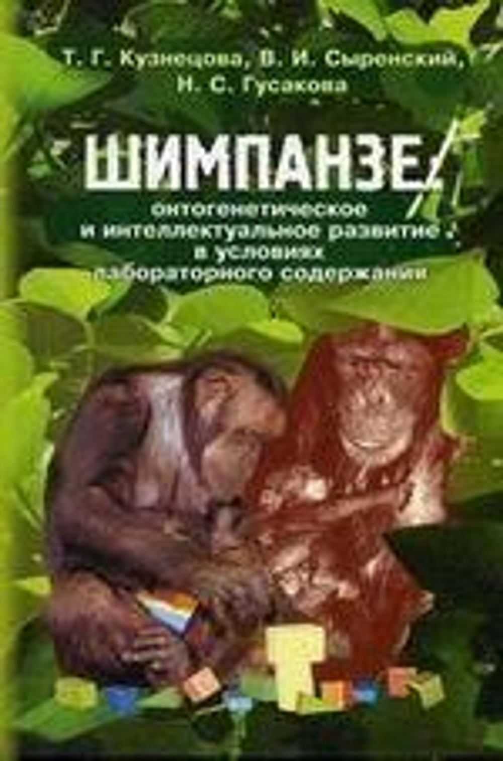 Шимпанзе