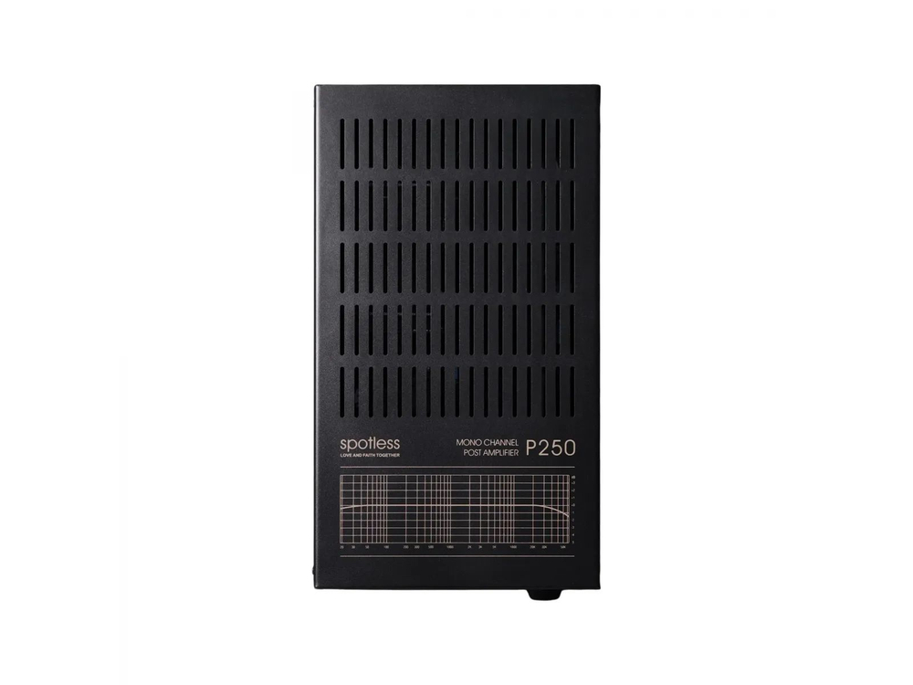 Усилитель для акустики Spotless Audio P250 Monoblock 1 шт