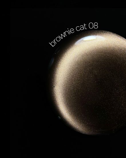 Brownie cat color gel 10g 08 Iperfect