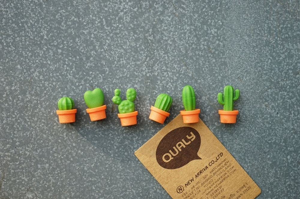 Магниты Cactus, 6 шт. Qualy
