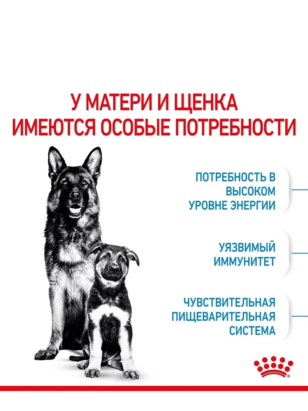 ROYL CANIN XI STARTER MOTHER & BABYDOG 1-2months PRO (РОЯЛ КАНИН МАКСИ СТАРТЕР МАЗЕ ЭНД БЭБИДОГ 1-2 месяца корм сухой для собак Maxi Starter 18 кг.