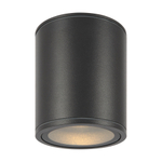 Уличный потолочный светильник Outdoor O306CL-L12GF