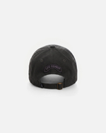 Кепка Anteater 6Panel Jeans Черный