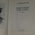 Неистовый сын Трира. Домбровский Анатолий Иванович