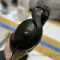 Sennheiser HD 620S Black