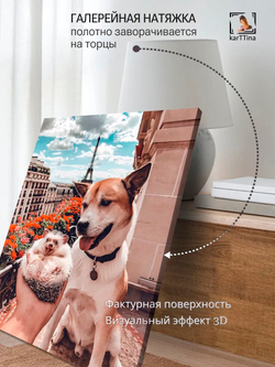 Картина "Енот-полоскун", модульная 50х70см 1шт.